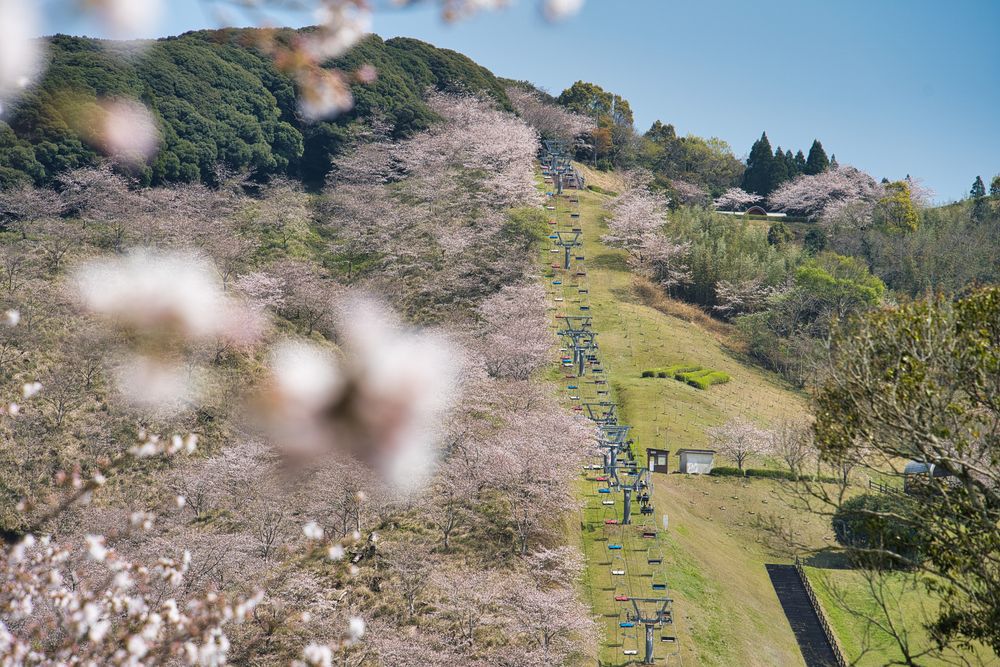 観音池公園の画像 - 5枚目