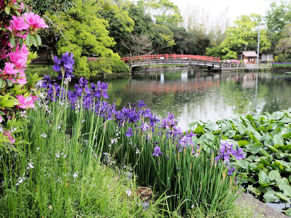 早水公園の画像 - 3枚目