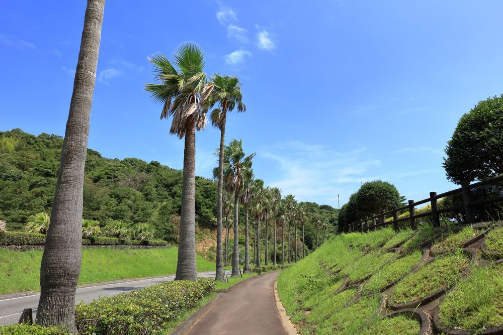 日向岬グリーンパークの画像 - 3枚目