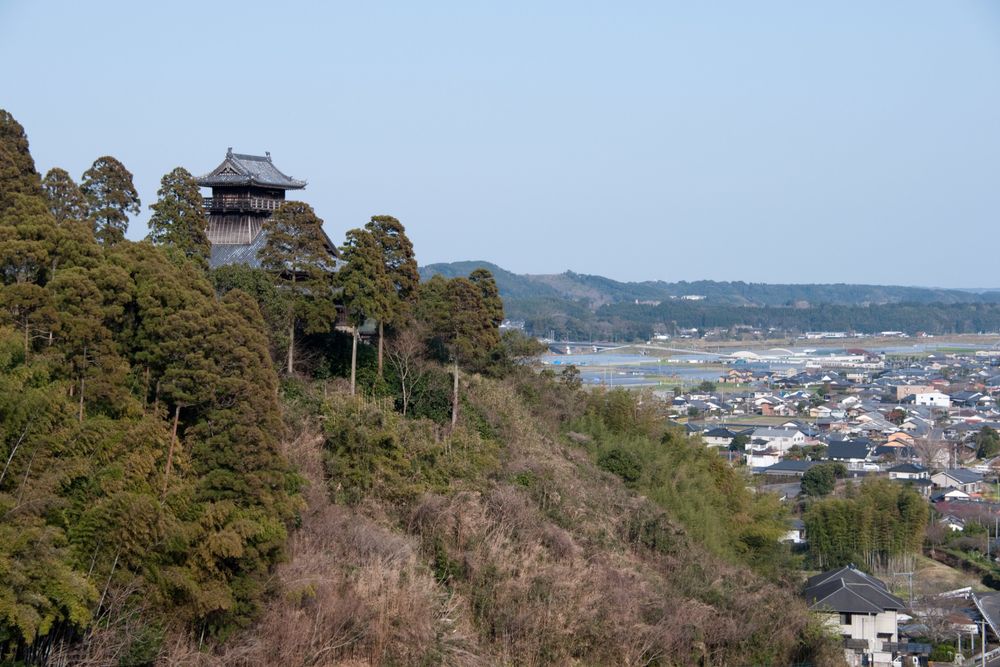 綾城の画像 - 2枚目