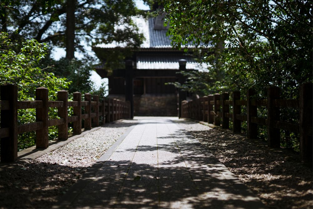 綾城の画像 - 3枚目