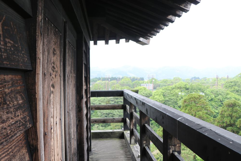 綾城の画像 - 5枚目