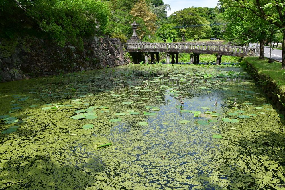 人吉城跡の画像 - 2枚目