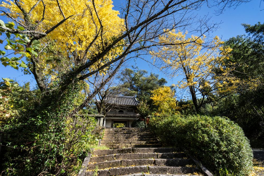 日輪寺の画像 - 2枚目