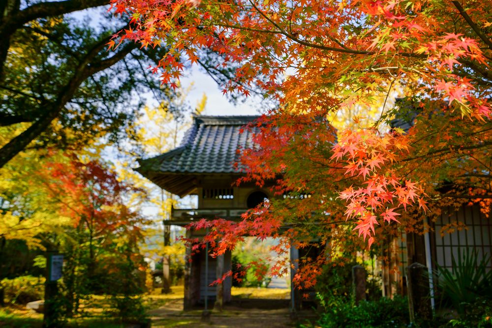 日輪寺の画像 - 3枚目