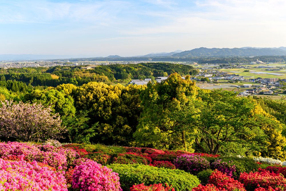 日輪寺の画像 - 6枚目