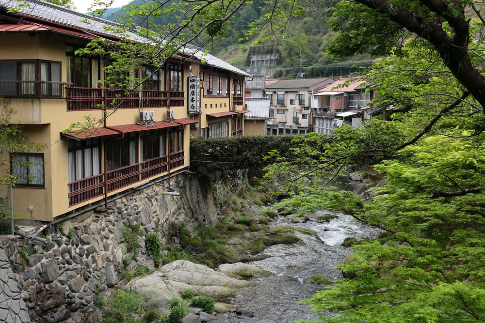 湯の鶴温泉の画像 - 2枚目