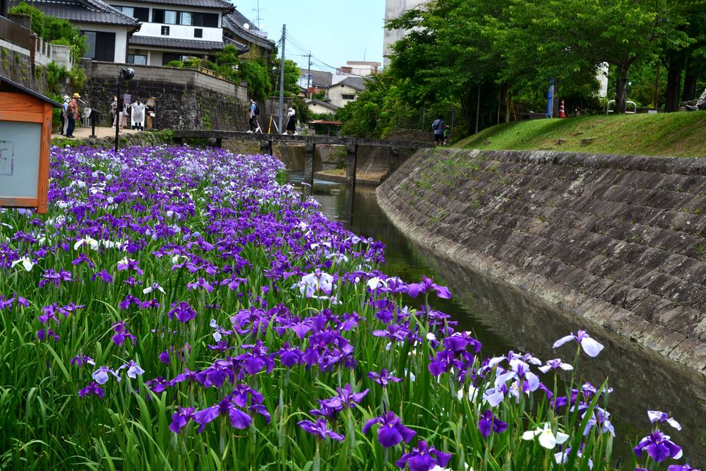 高瀬裏川水際緑地公園の画像 - 3枚目
