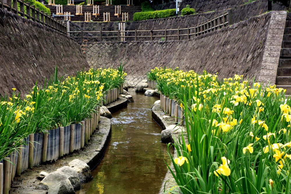 高瀬裏川水際緑地公園の画像 - 5枚目
