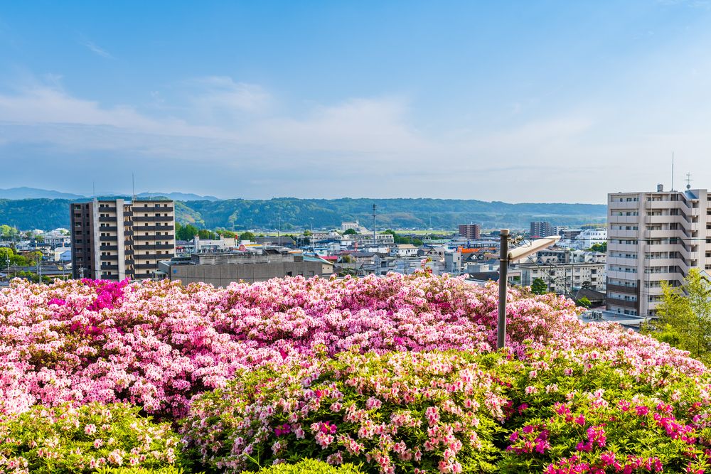 大津日吉神社の画像 - 4枚目