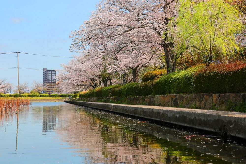 佐賀城公園の画像 - 4枚目