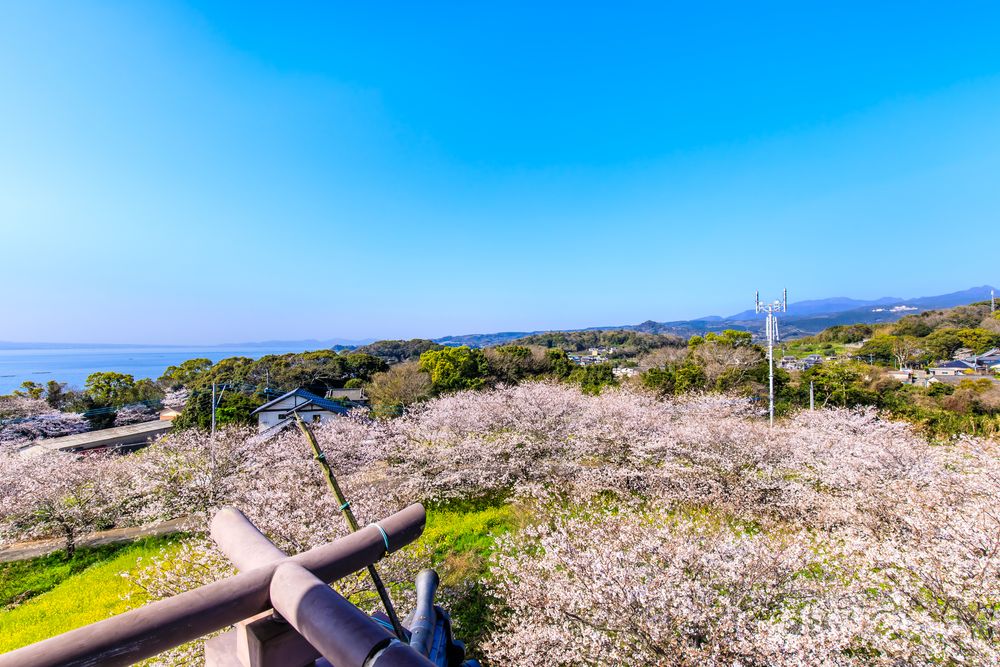 竹崎城址展望台の画像 - 3枚目