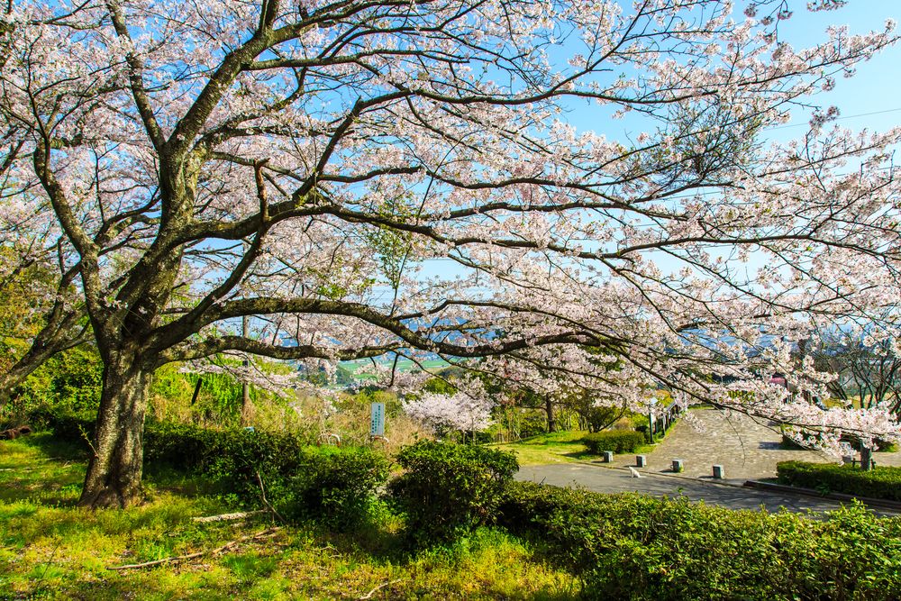 蟻尾山公園の画像 - 3枚目