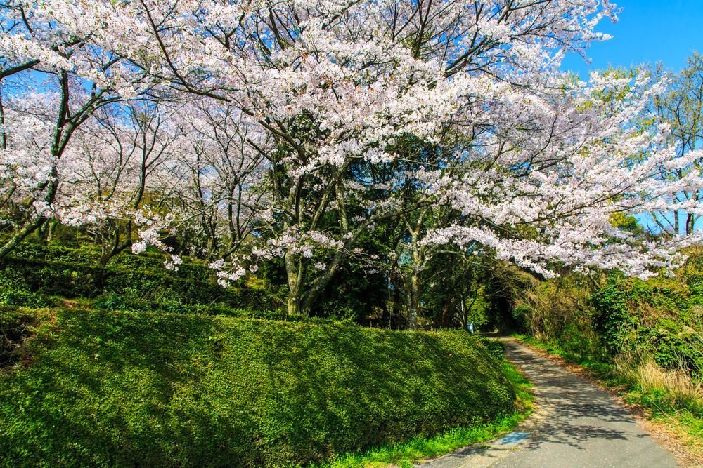 蟻尾山公園の画像 - 4枚目