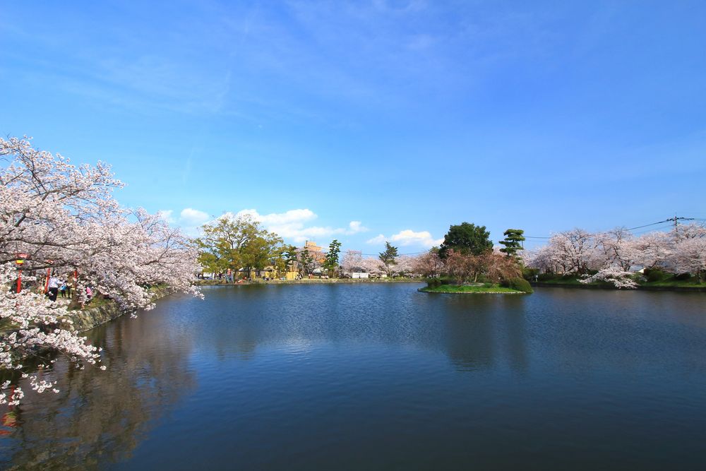 小城公園の画像 - 2枚目