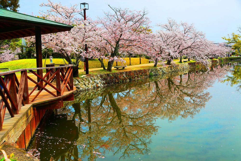 小城公園の画像 - 3枚目