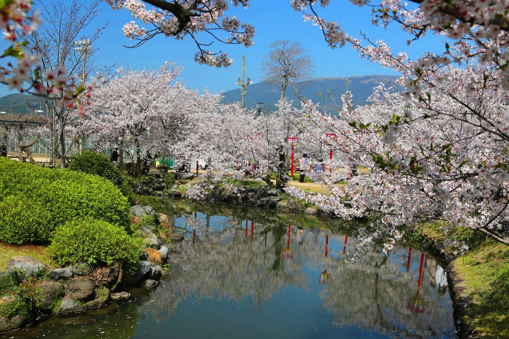 小城公園の画像 - 4枚目