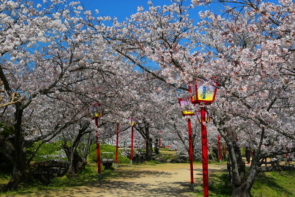 小城公園の画像 - 5枚目