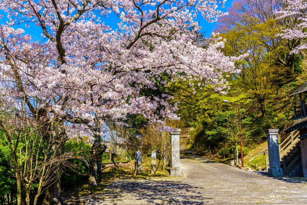 陶山(すえやま)神社の画像 - 2枚目