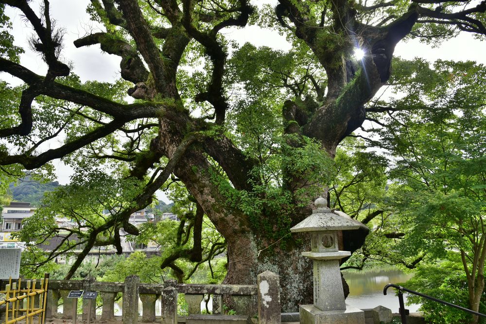 與止日女神社の画像 - 5枚目