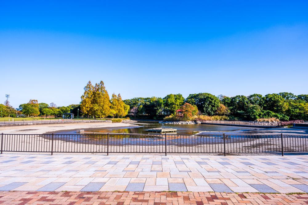 佐賀県立森林公園の画像 - 3枚目