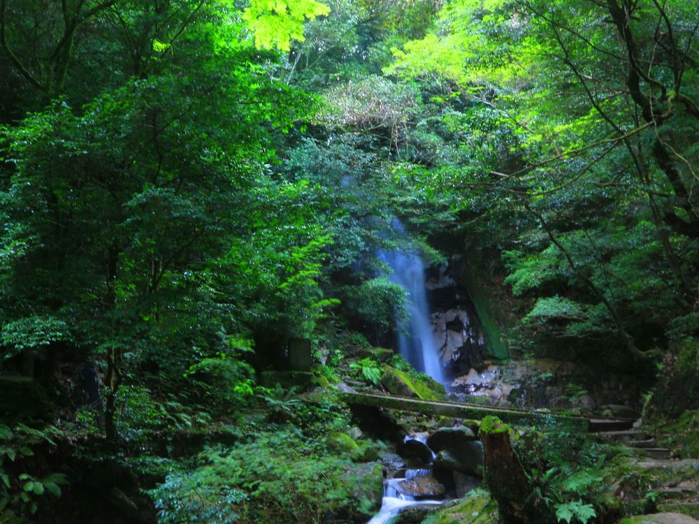 御手洗の滝の画像 - 4枚目