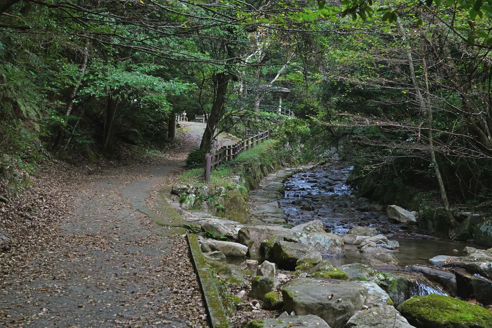御手洗の滝の画像 - 5枚目