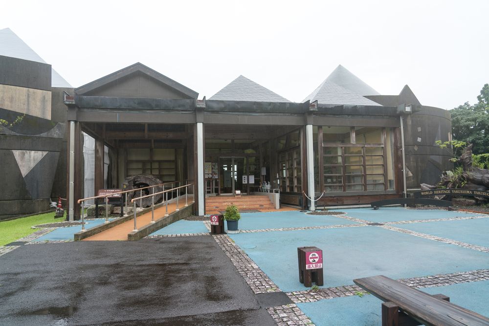 屋久杉自然館】の周辺スポット・アクセス・口コミ - Prism Japan
