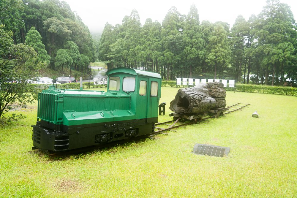 屋久杉自然館】の周辺スポット・アクセス・口コミ - Prism Japan