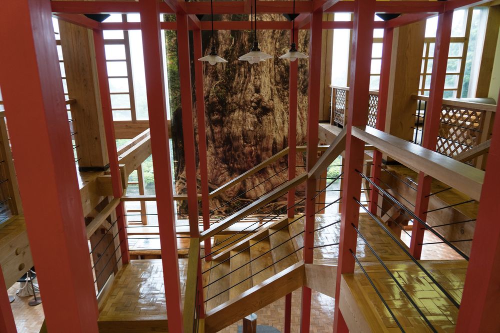 屋久杉自然館】の周辺スポット・アクセス・口コミ - Prism Japan