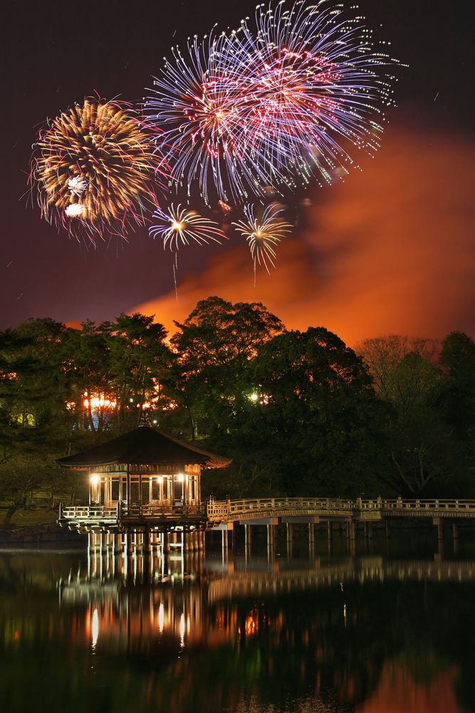 奈良公園の画像 - 2枚目
