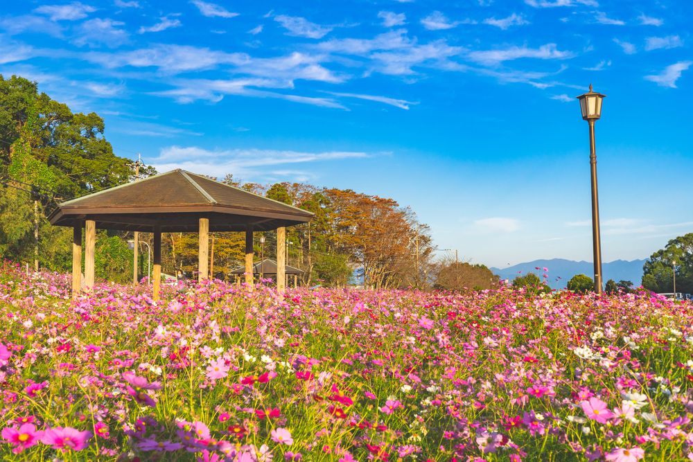 慈眼寺公園の画像 - 4枚目