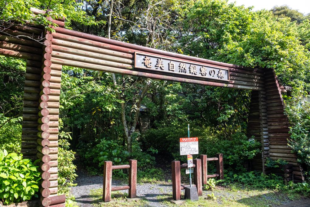 奄美自然観察の森の画像 - 2枚目