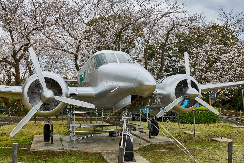 城山公園の画像 - 4枚目