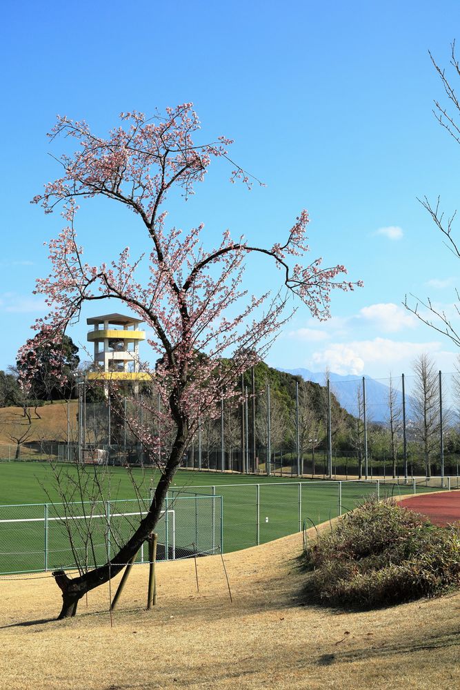 かごしま健康の森公園の画像 - 3枚目