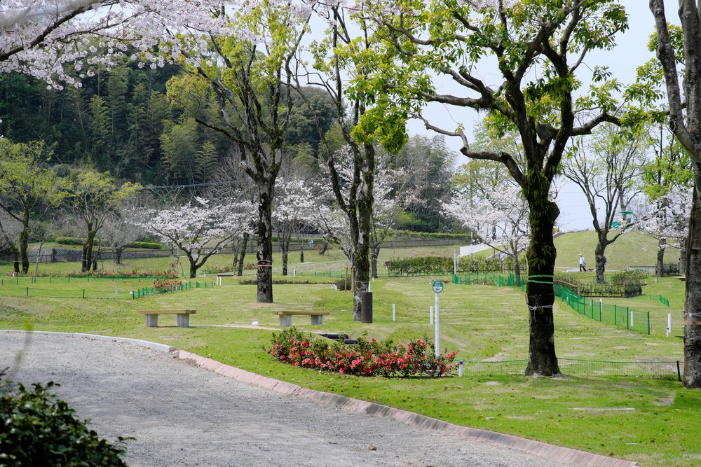 かごしま健康の森公園の画像 - 4枚目