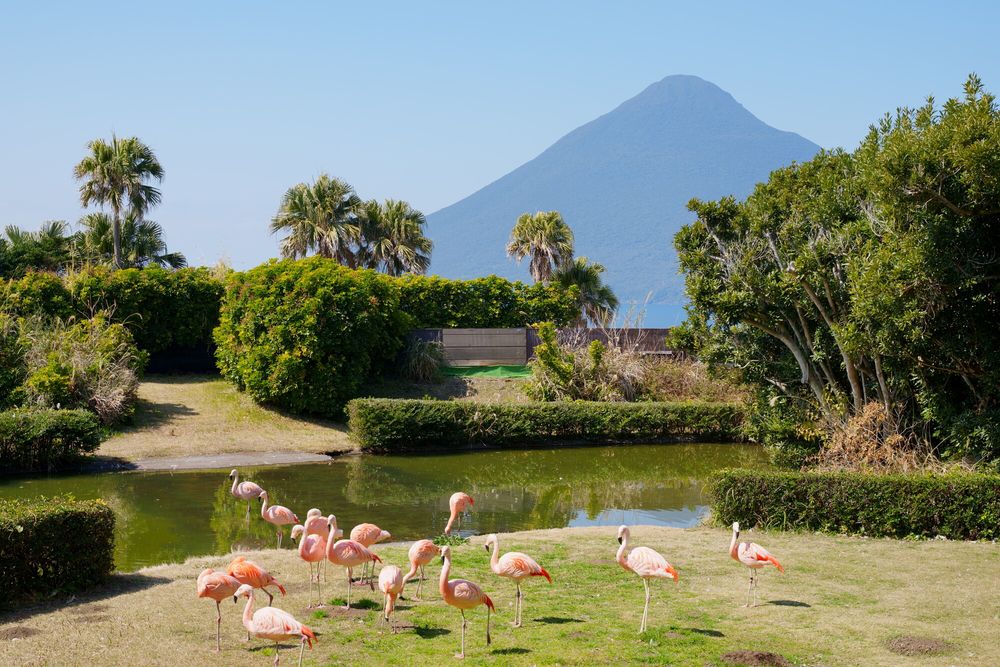 長崎鼻パーキングガーデン】の観光情報・周辺スポット・口コミ - Prism Japan