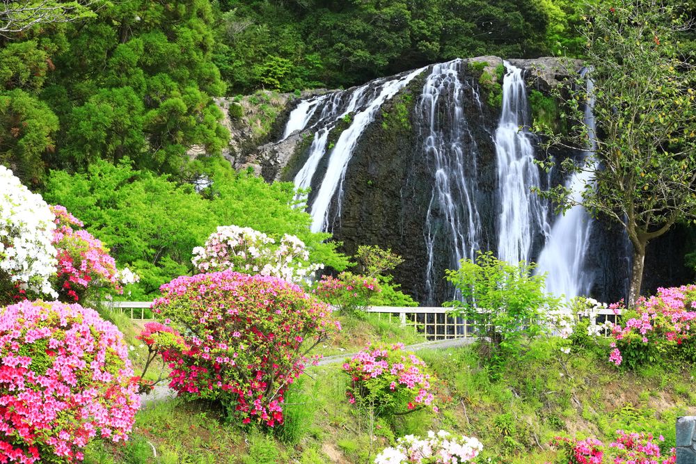 龍門滝の画像 - 4枚目