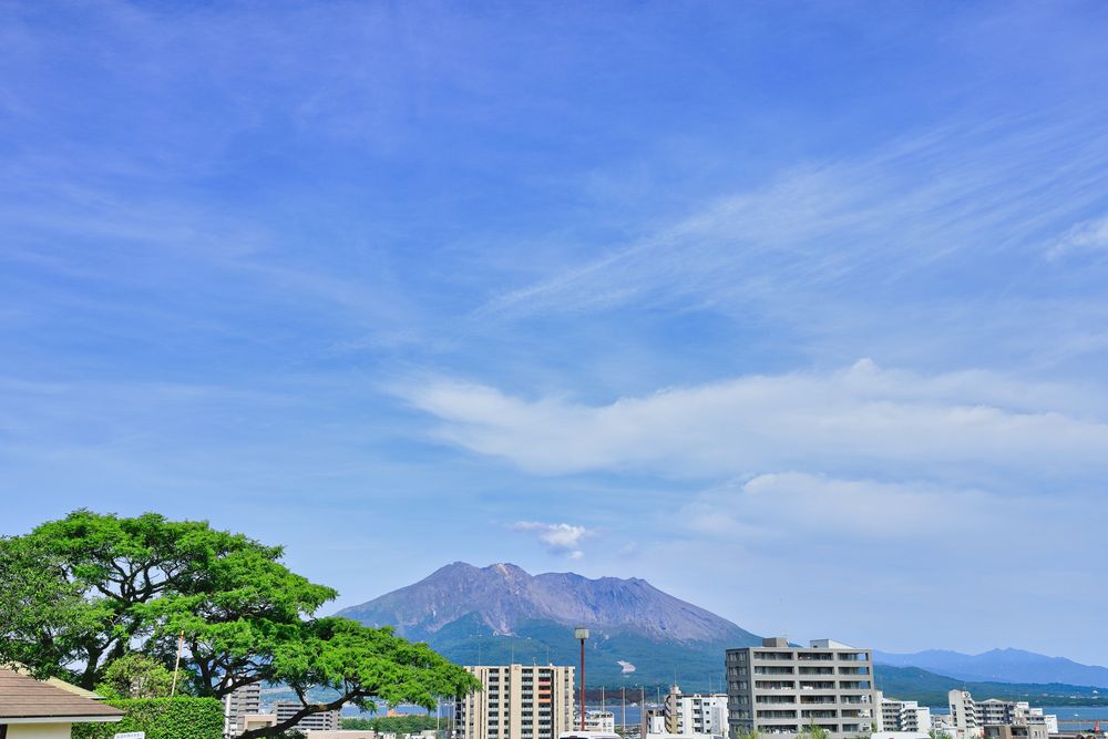南洲公園の画像 - 5枚目