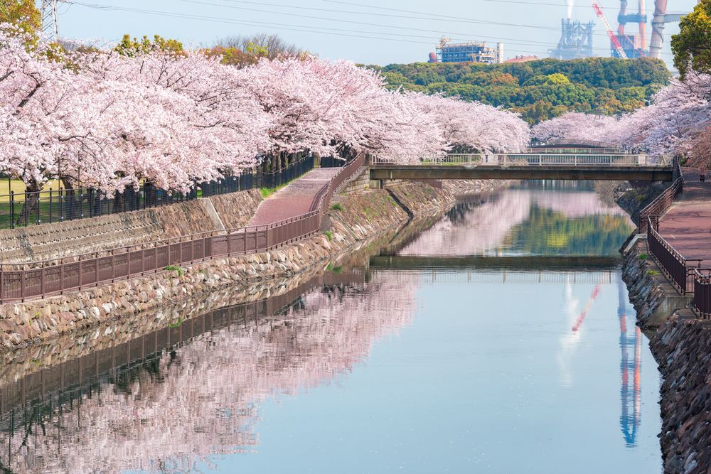 平和市民公園の画像 - 2枚目