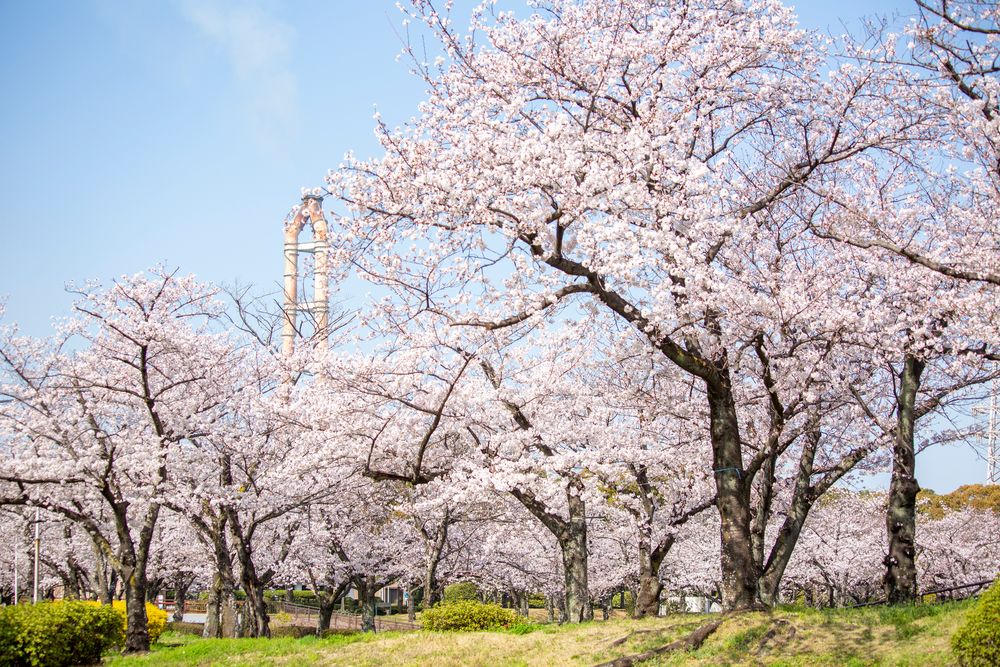 平和市民公園の画像 - 5枚目