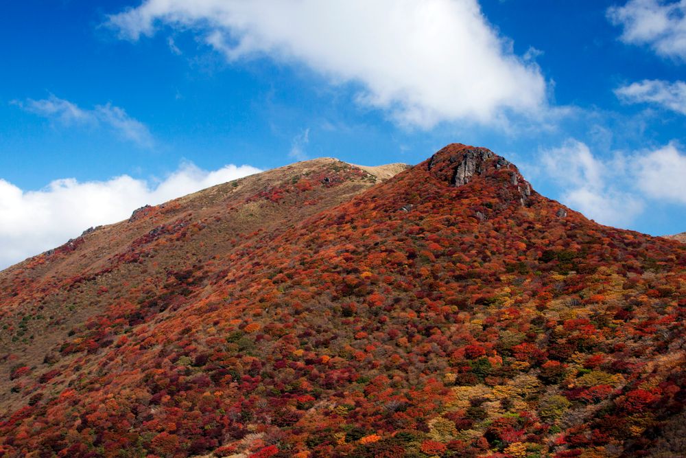 くじゅう連山の紅葉の画像 - 2枚目