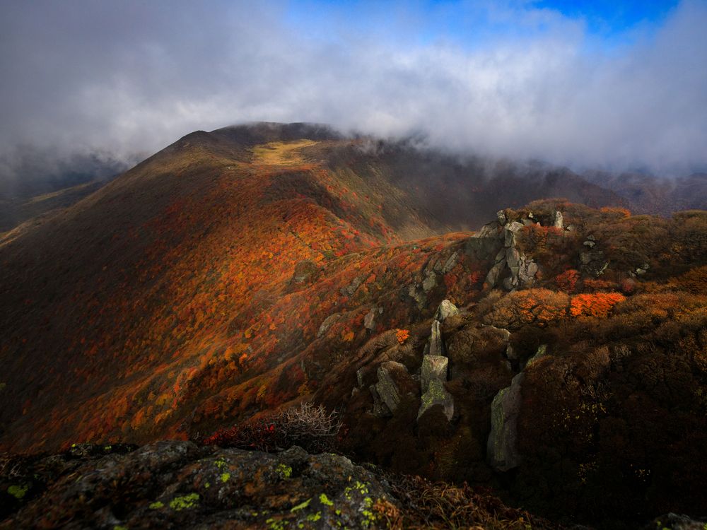 くじゅう連山の紅葉の画像 - 3枚目