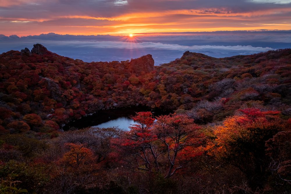 くじゅう連山の紅葉の画像 - 4枚目