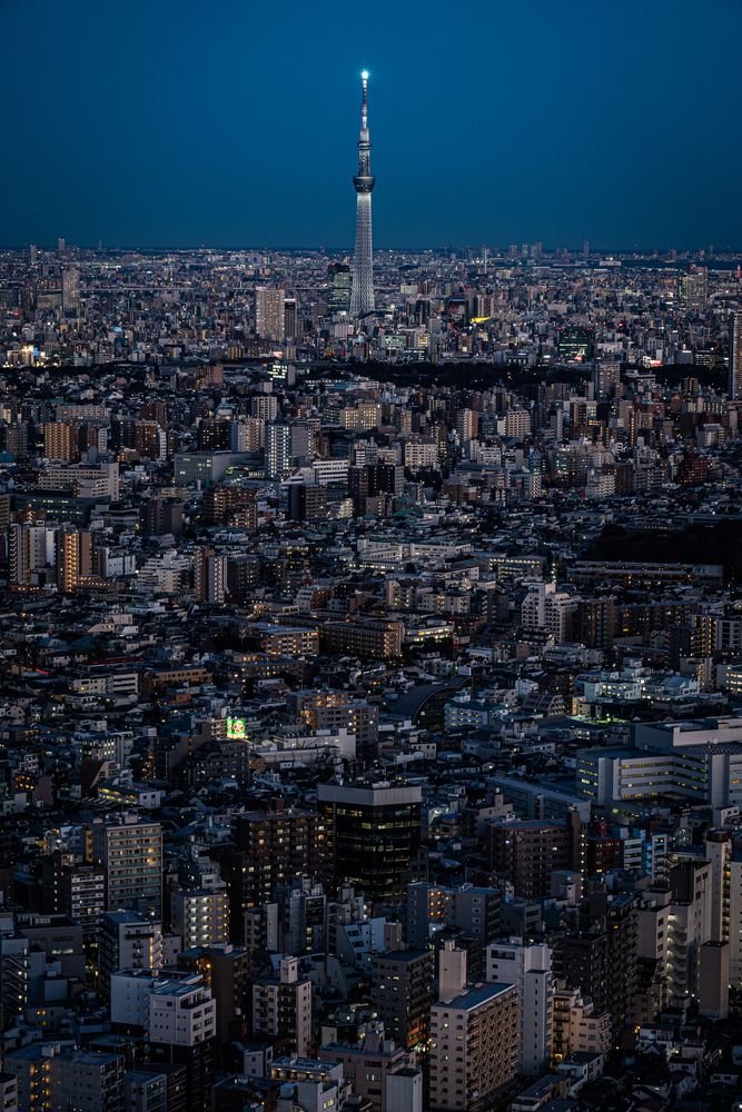 サンシャイン60展望台の画像 - 5枚目