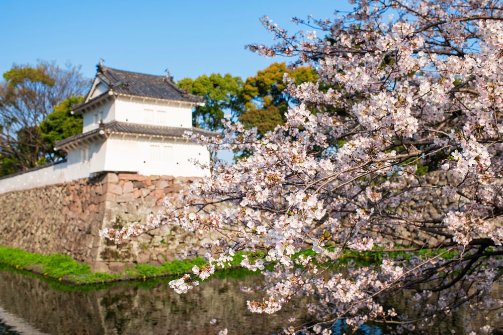 大分城址公園の画像 - 2枚目