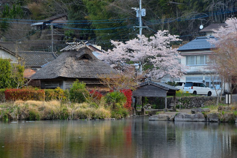 下ん湯の画像 - 5枚目