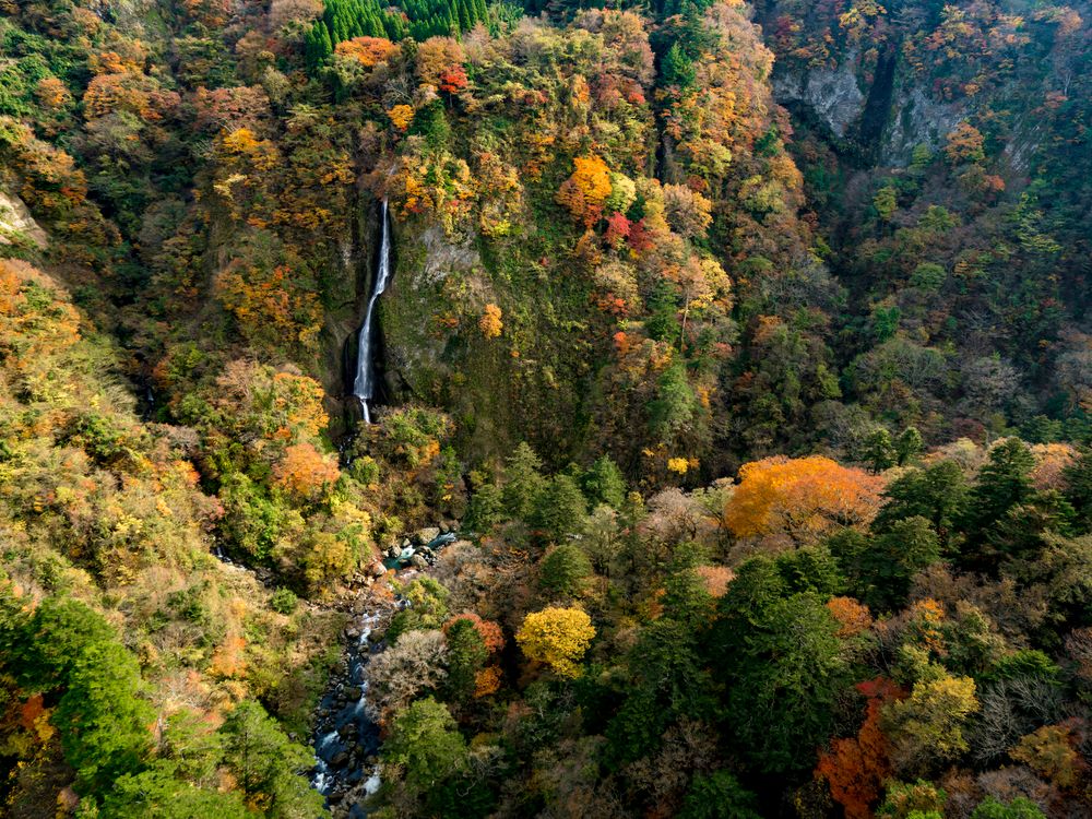 震動の滝の画像 - 2枚目