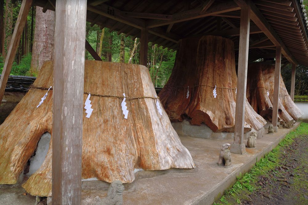 宇奈岐日女神社の画像 - 3枚目
