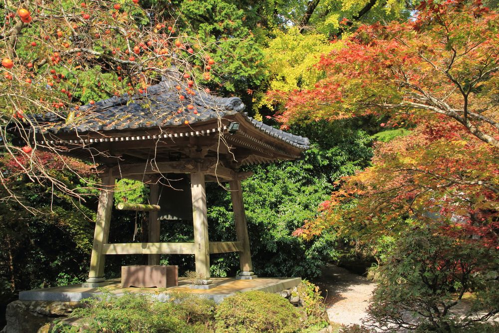長安寺の画像 - 2枚目